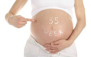 35 неделя беременности