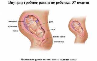 37 недель беременности: предвестники родов, болит поясница