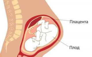 Обзор второго триместра беременности: развитие малыша и изменения в организме мамы