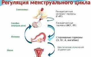 Методы диагностики бесплодия