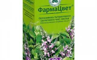 Ортосифон тычиночный (почечный чай): применение при беременности